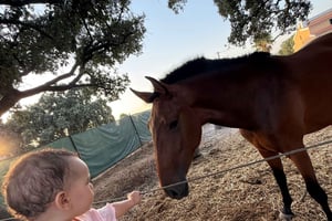From Lisbon - Amazing Horseback Ride, Tasting, Estates, and Cristo Rei