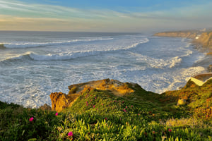 From Lisbon - Mafra Palace and Ericeira - Heritage and the Portuguese Coast