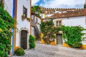 From Lisbon - Nazaré and Óbidos Private Tour in a premium car
