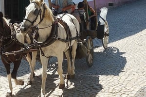 From Lisbon - Nazaré and Óbidos Private Tour in a premium car