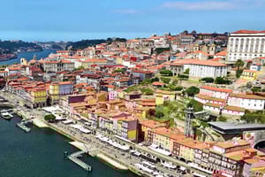 From Lisbon: Porto Private Full-Day Tour