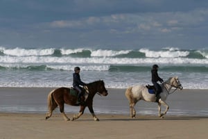 From Lisbon - Private Horse Ride, Wine & Tapas + Pickup