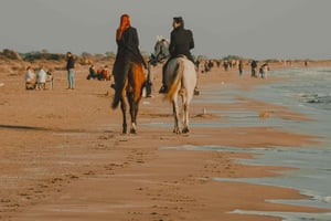 From Lisbon - Private Horse Ride, Wine & Tapas + Pickup