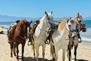 From Lisbon - Private Horse Ride, Wine & Tapas + Pickup