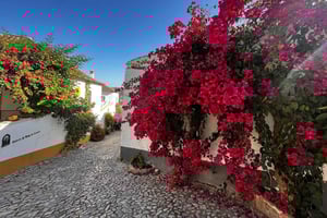 From Lisbon - Private Transfer to Porto with City Stops