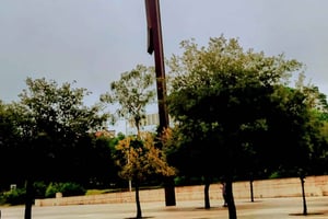 From Lisbon - Sanctuary of Fátima & the Little Shepherds Town