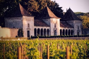 From Lisbon - Serra da Arrábida, Sesimbra, and Setúbal Wines