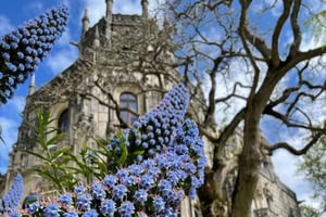 From Lisbon - Sintra, Pena Palace and Regaleira Day Trip