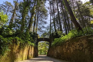 From Lisbon - Sintra Pena Palace Cascais 8-People Group Tour