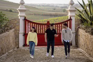 From Lisbon - Sintra & Pena Palace Day Trip with Wine Tasting