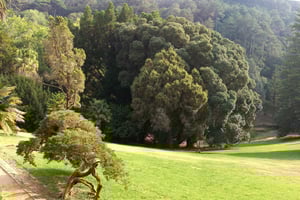 From Lisbon - Sintra, Pena, Regaleira, Cabo da Roca & Cascais