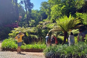 From Lisbon - Sintra's Historical and Natural Gems