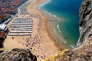 Full Day Tour - Transfer to Porto from Lisbon with Stops