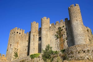 Full Day Tour - Transfer to Porto from Lisbon with Stops