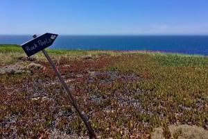 Hiking Tour Along the West Coastline