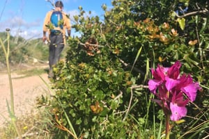 Hiking tour to Highest Limestone Cliff in Europe