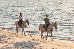 Horseback Riding On The Beach At Sunset