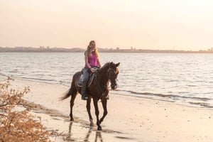 Horseback Riding On The Beach At Sunset