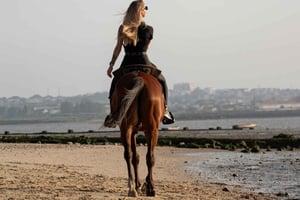 Horseback Riding On The Beach At Sunset