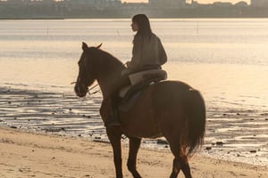 Horseback Riding On The Beach At Sunset