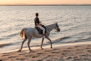 Horseback Riding On The Beach At Sunset