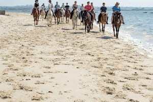 Horseback Riding Trough The Beach GROUP - PDT