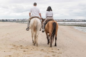 Horseback Riding Trough The Beach GROUP - PDT