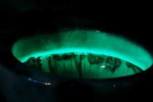 Lisboa: AXN Prison Robbery Escape Room