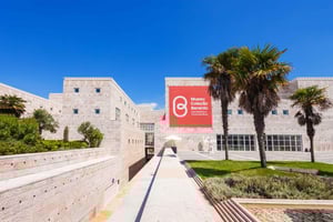 1-or 2-Day Hop-On Hop-Off Bus Tour