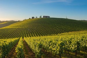 Lisbon: 2-Day Évora, Sesimbra and Cork Tour with Wine