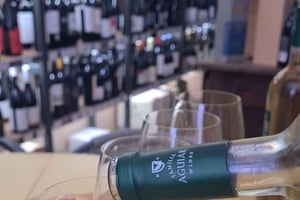 3-hour tour in German to all viewpoints with local guide