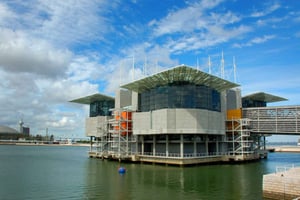 3-in-1 Hop-On Hop-Off Bus and Tram Tours