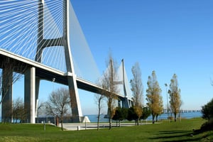 3-in-1 Hop-On Hop-Off Bus and Tram Tours