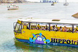 Amphibious Sightseeing Tour