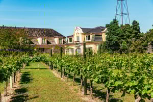 Arrábida and Sesimbra Day Trip with Wine