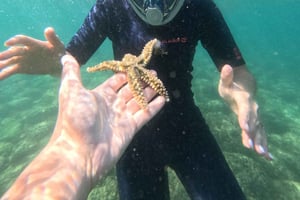 Arrábida Kayak & Wild Beach Snorkeling Pickup Option