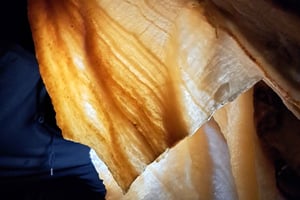 Arrábida Natural Park Cave Tour with Guide