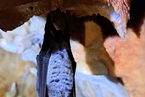 Arrábida Natural Park Cave Tour with Guide