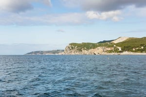 Arrábida Natural Park Dolphin Watching Boat Tour