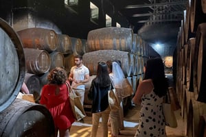 Arrábida & Sesimbra w/ Palmela Castle & Wine Tasting