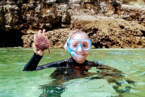 Arrábida Snorkeling Adventure