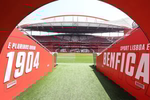 Benfica Luz Stadium Tour with Souvenir Scarf