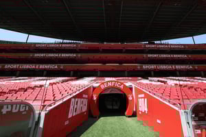Benfica Luz Stadium Tour with Souvenir Scarf