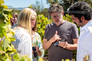 Carcavelos Vineyard Tour and Wine Tasting