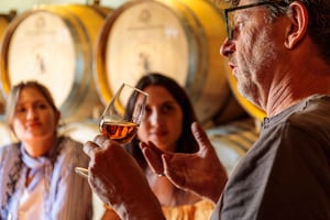 Carcavelos Vineyard Tour and Wine Tasting