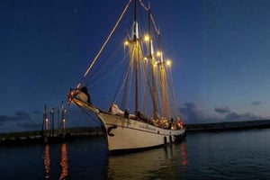 Lisbon Christmas Lights Cruise on the Tagus with Hot Drinks