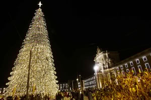 Christmas Lights Tuk-Tuk Tour with Local Guide