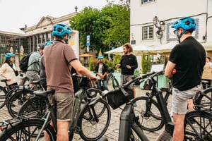 City Highlights and Viewpoints E-Bike Tour