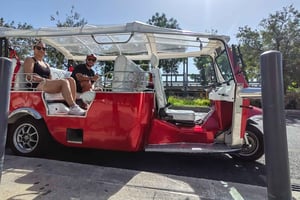 City Tuk-Tuk Guided Tour with Hotel Pickup
