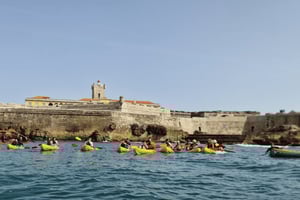 Coast Guided Kayak Tour